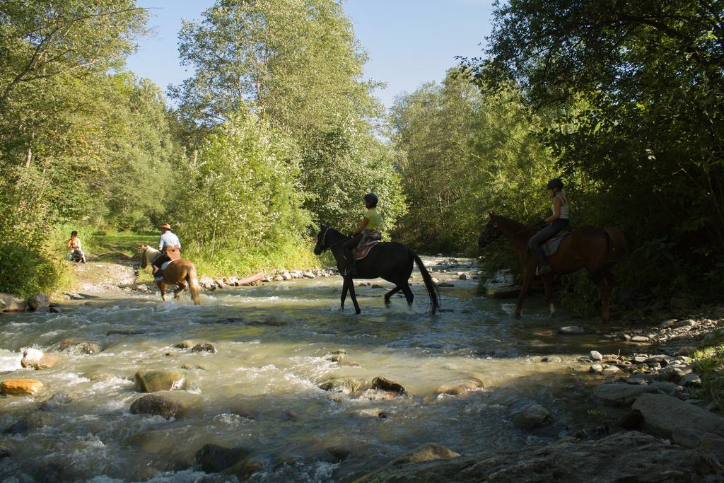 Hotel Haflingerhof Оберау Экстерьер фото